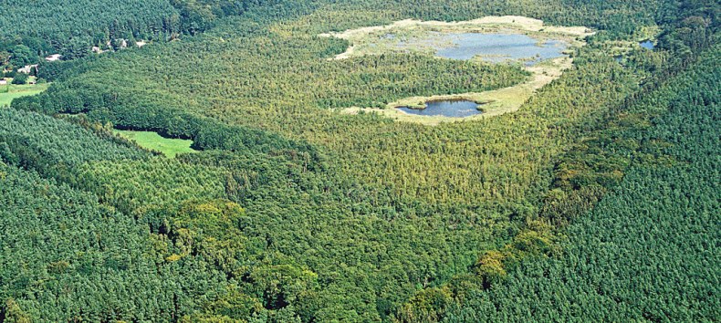Naturschutzgebiet Wockninsee // © Fotoarchiv Naturpark Insel Usedom Naturschutzgebiet Wockninsee // © Fotoarchiv Naturpark Insel Usedom