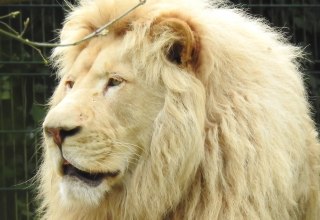 © Hansestadt Stralsund © Hansestadt Stralsund