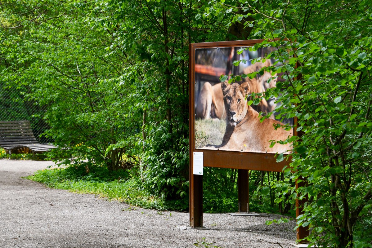 Photo Exhibition "Respect, Compassion, and Understanding" at the Waldgalerie in BÄRENWALD Müritz // © BÄRENWALD Müritz | Manuela Klier Photo Exhibition "Respect, Compassion, and Understanding" at the Waldgalerie in BÄRENWALD Müritz // © BÄRENWALD Müritz | Manuela Klier