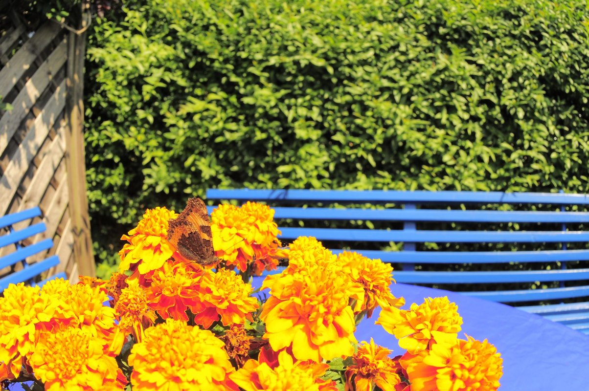 Sitting area in the garden in front of the vacation room // &copy; Kleines Fischerhaus