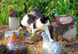 © Dennis Schreib © Dennis Schreib