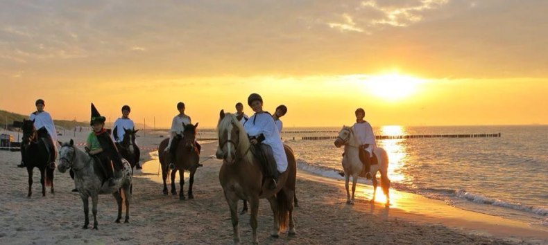 © Bernsteinreiter Hirschburg © Bernsteinreiter Hirschburg