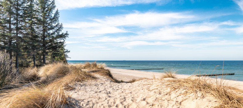 Coastal forest hike "Between the sound of waves and forest whispers" // &copy; Andr&eacute; Pristaff / TuK