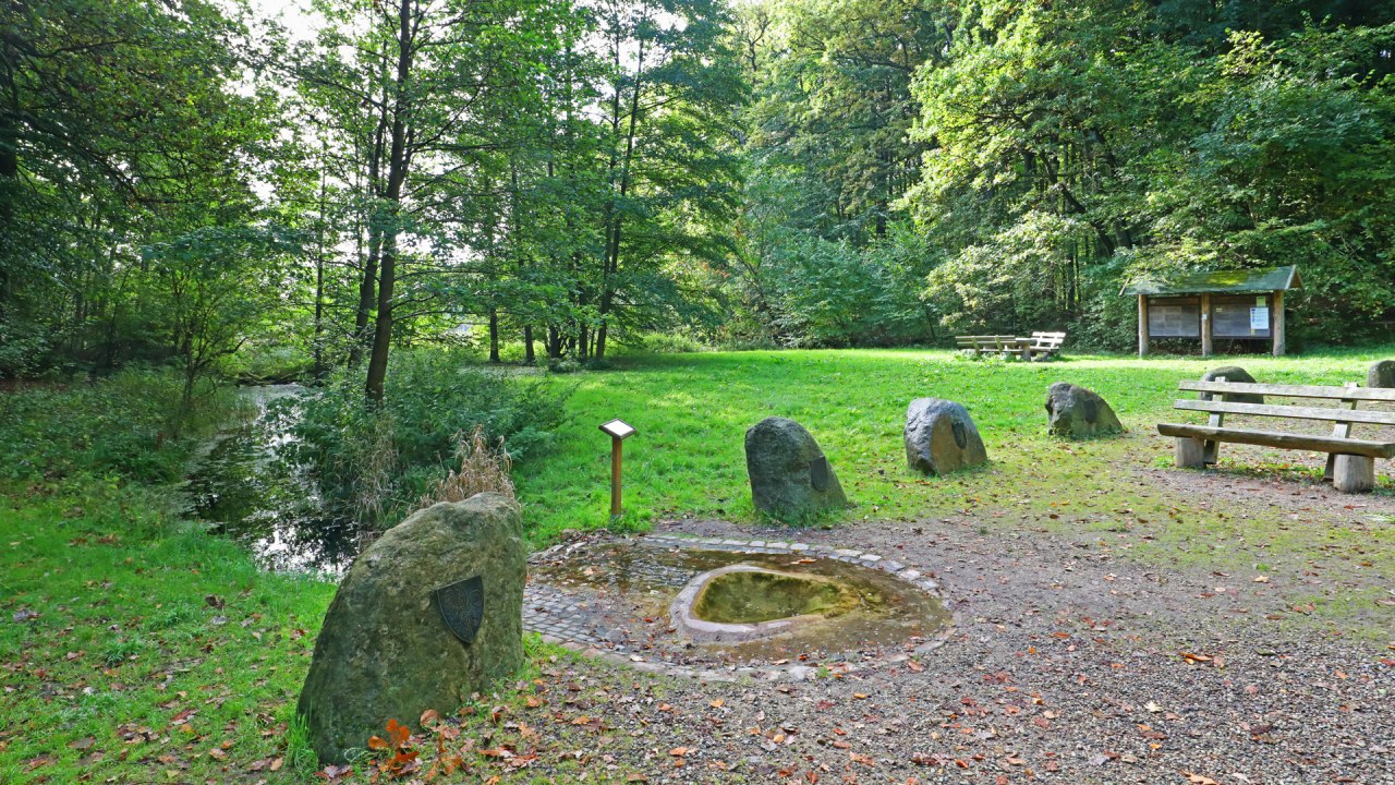 Havelquelle_1, © TMV/Gohlke Havelquelle_1, © TMV/Gohlke