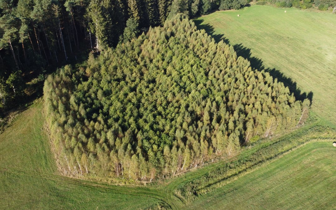 DJI_0863, © Landesforst MV