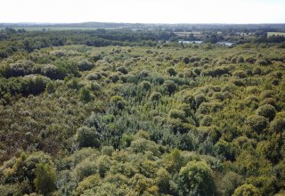 Klimawald Biosphärenreservat Schaalsee // © Landesforst MV Klimawald Biosphärenreservat Schaalsee // © Landesforst MV