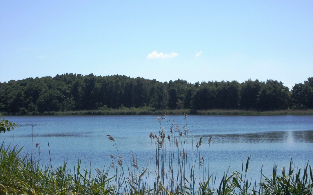 Fietstocht met gids - "Rondom de Schmollensee - Zevenmerenwandeling"., © 201547.jpg