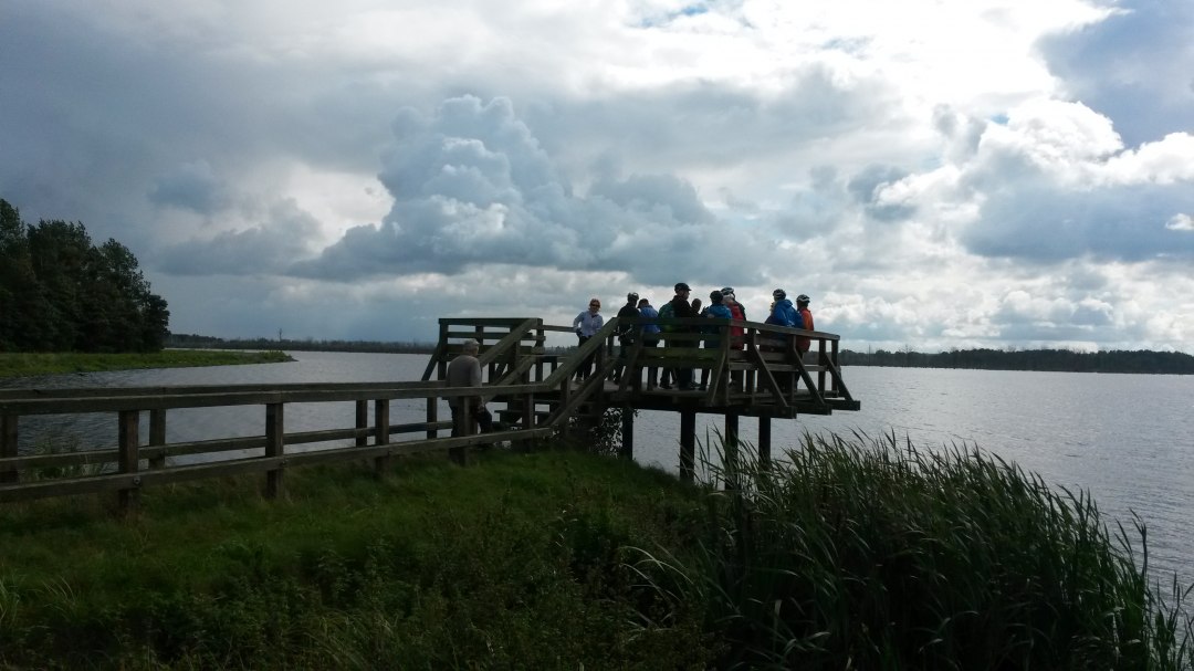 Viewing platform at Galenbeck Lake, © Angelika Michaelis
