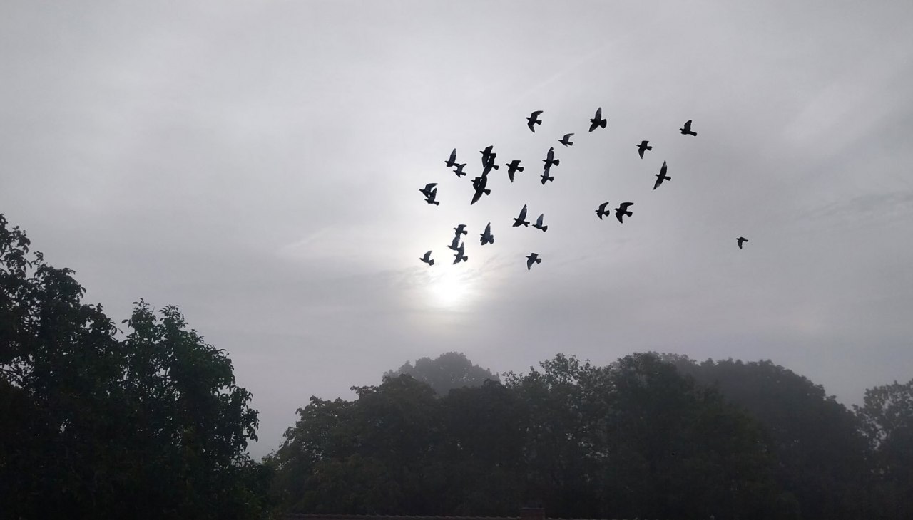 mystische-winterwanderung, &copy; Andreas Breuer