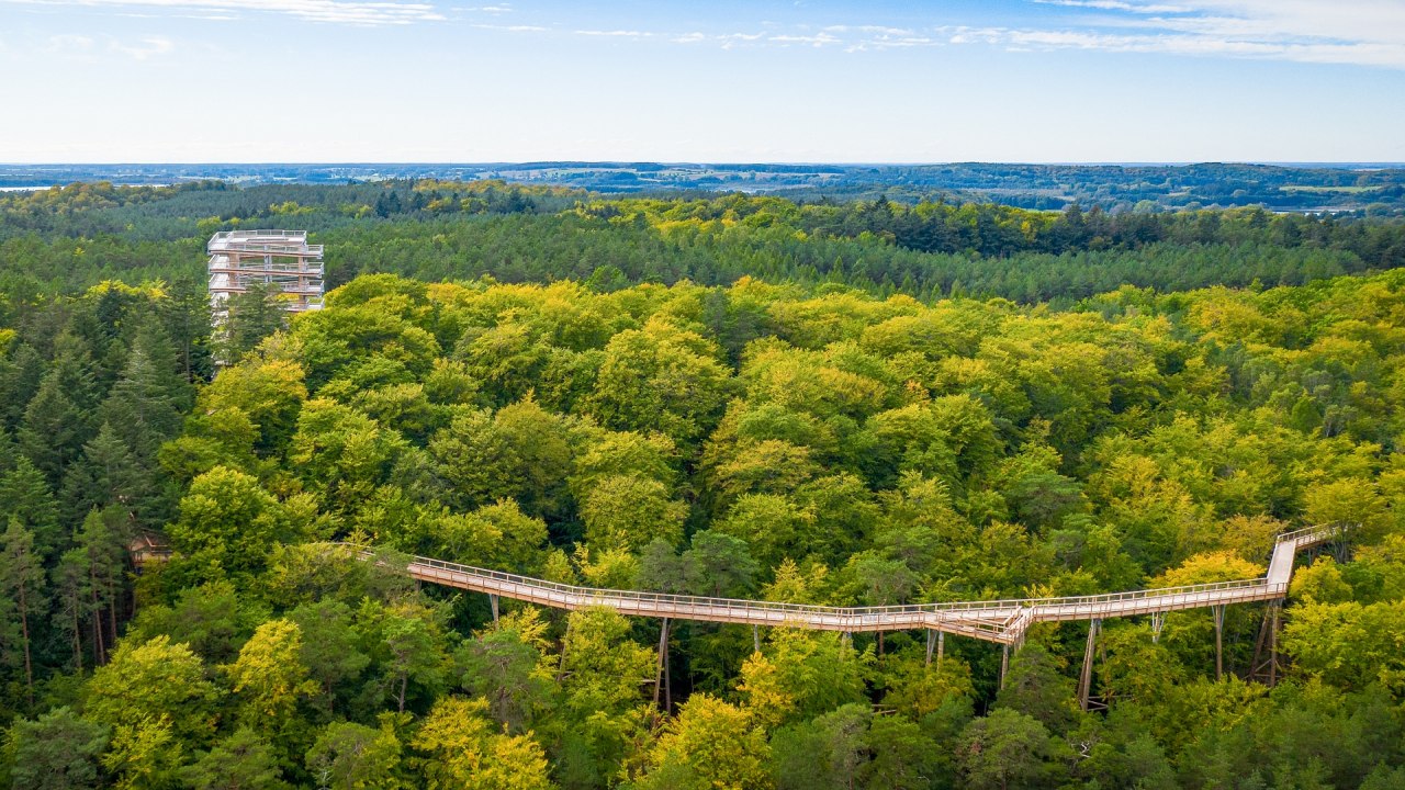 Het boomkroonpad bestaat uit een houten loopbrug die zich een weg baant door de boomtoppen en een 33 meter hoge uitkijktoren., &copy; Erlebnis Akademie AG/Baumwipfelpfad Usedom