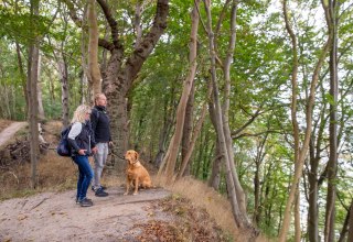 &copy; Kurverwaltung Goehren / Martin Stoever