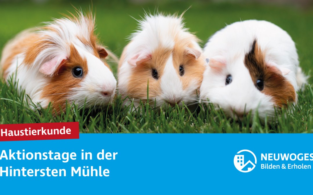 neuw-groep_extern-coming_animal_home_action_days-24-pet_lore_1, © Neuwoges