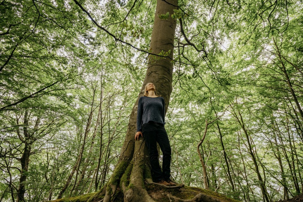 Wandeling: De helende kracht van het kustbos, © Binzer Bucht Tourismus