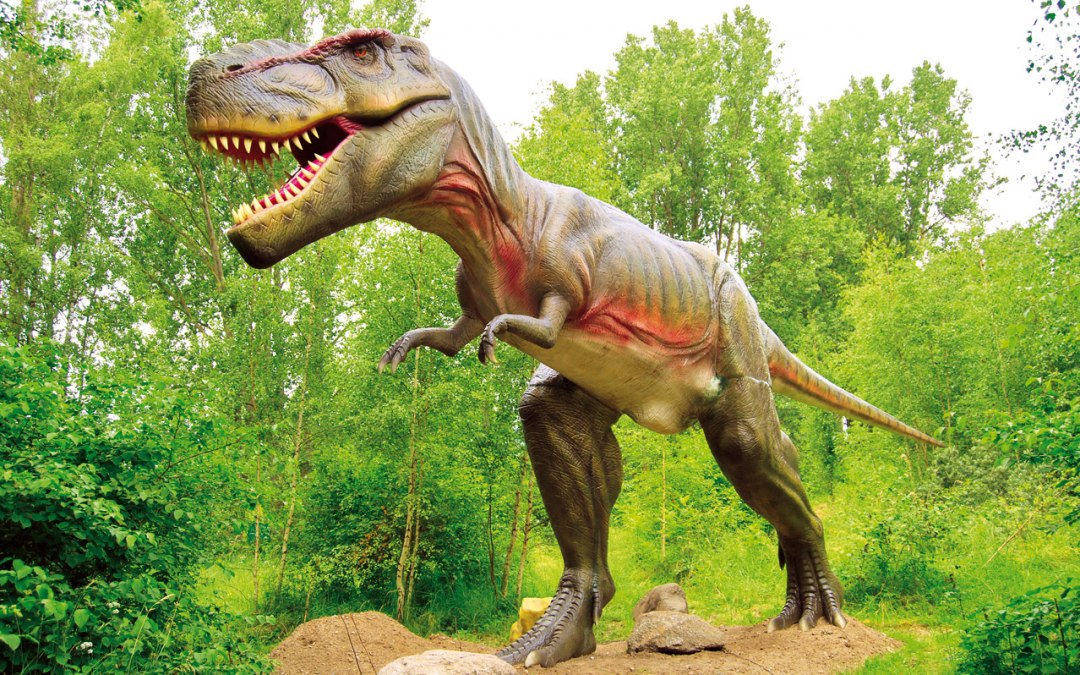 Tyrannosaurus Rex, © Marcel Kunkel