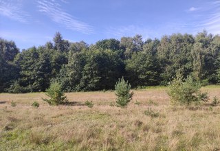 © Stiftung Umwelt- und Naturschutz MV