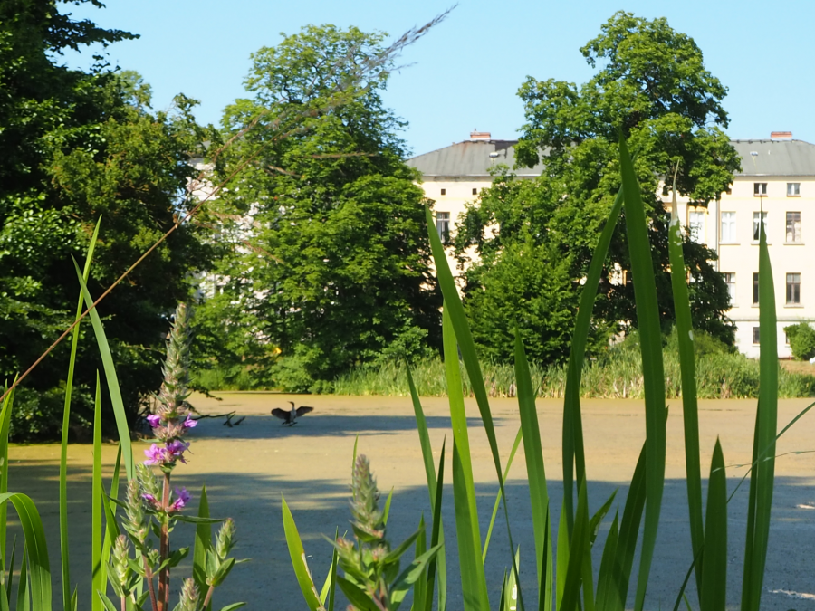 W Semlow Castle Park, © Tourismusverein VR/Manuela Steimle
