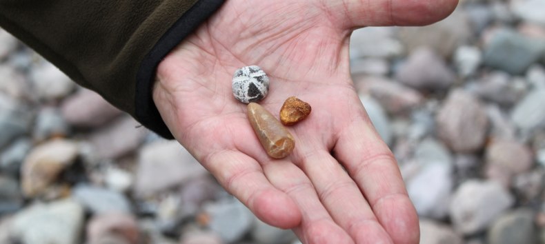 Beach finds, © Biosphärenreservatsamt Südost-Rügen