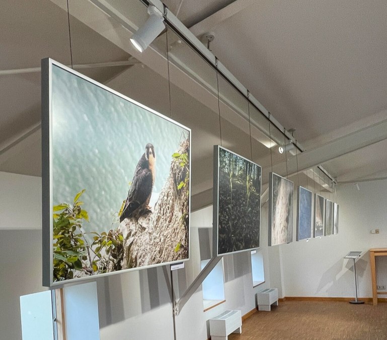 Wystawa fotograficzna_Jürgen Reich, © Nationalpark-Zentrum KÖNIGSSTUHL