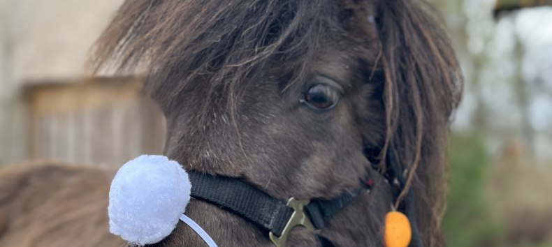 Ostern bei den Bernsteinreitern // &copy; De