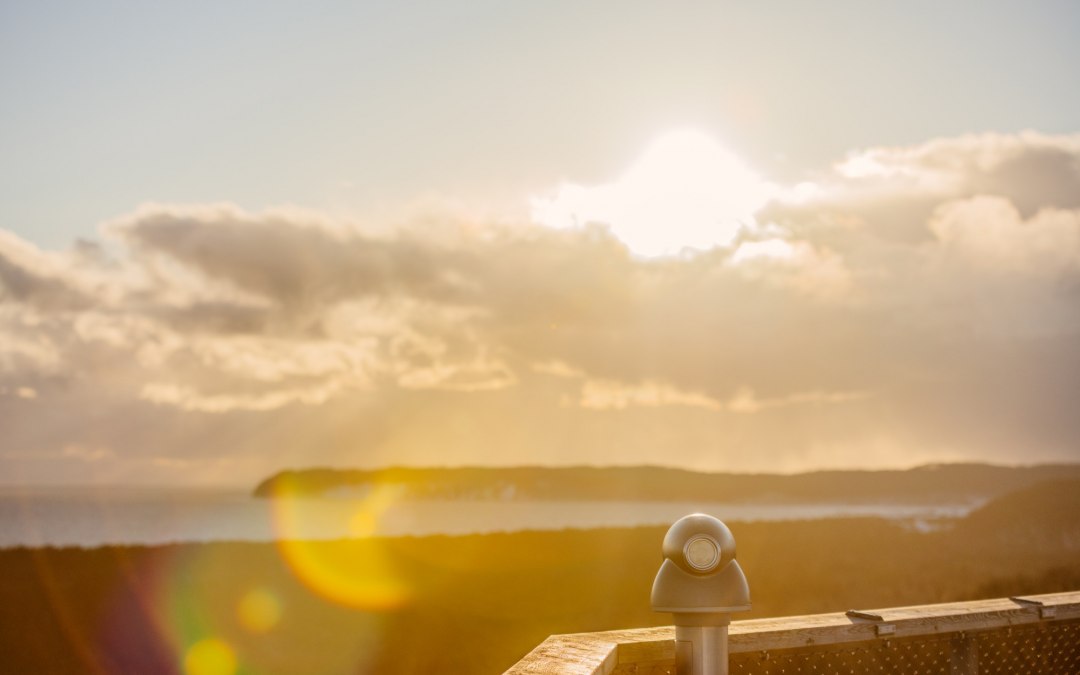 Zonsopgang op de boomtoppenwandeling, © Binzer Bucht Tourismus