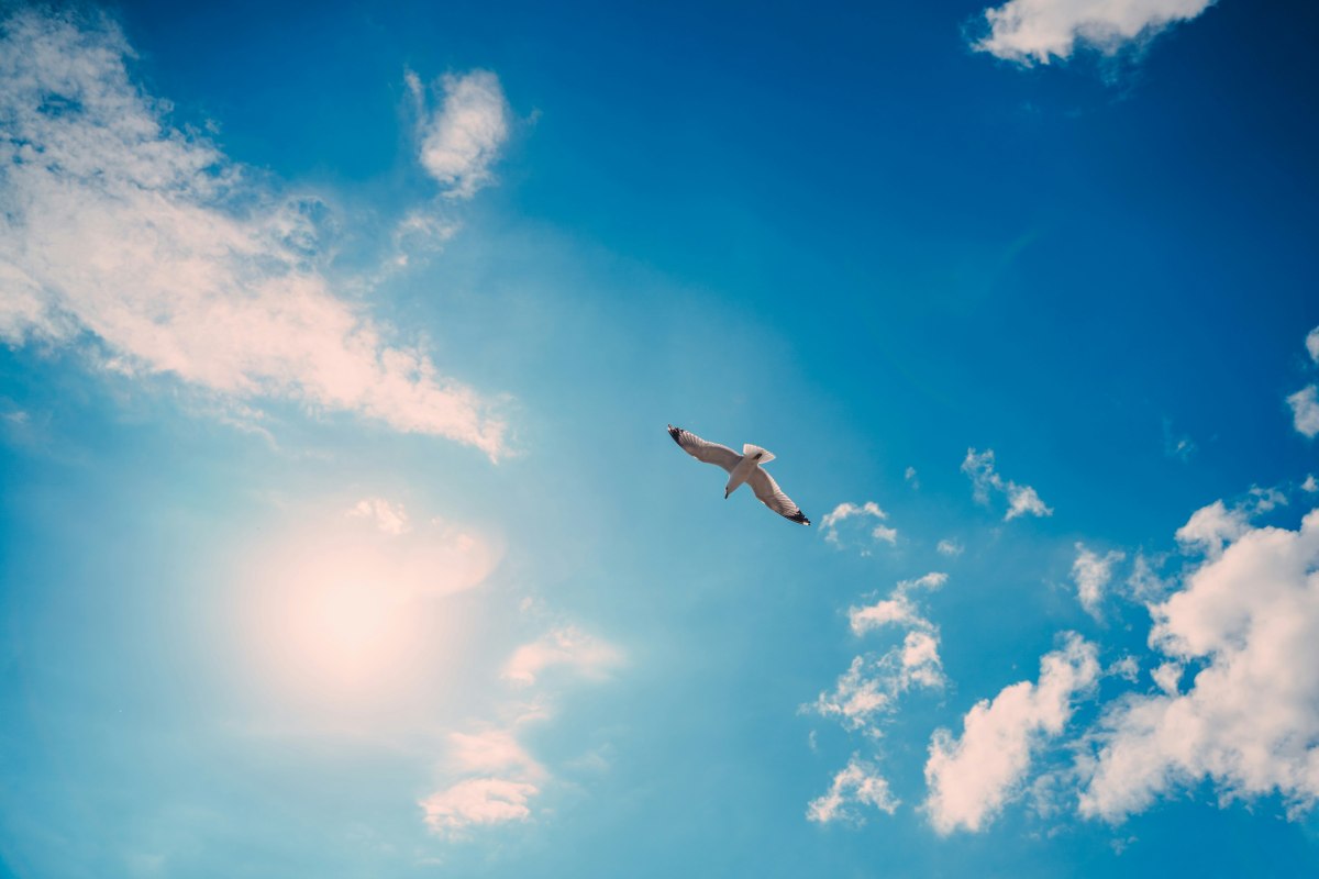A trip into the blue - surprise guaranteed! // © Foto von Artem Pechenkin auf Unsplash A trip into the blue - surprise guaranteed! // © Foto von Artem Pechenkin auf Unsplash