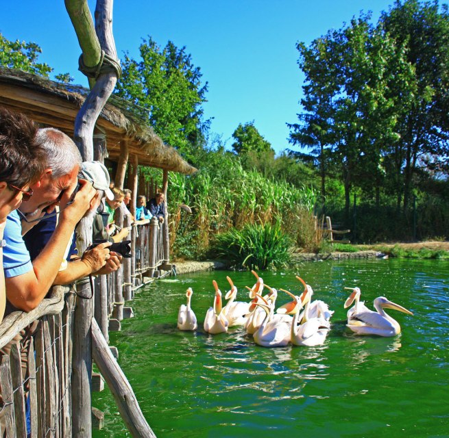 © Vogelpark Marlow