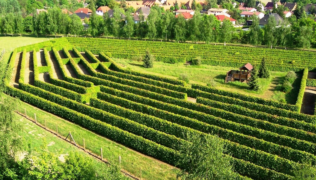 Doolhof op het Waldeck in Dargun, © Stadt Dargun