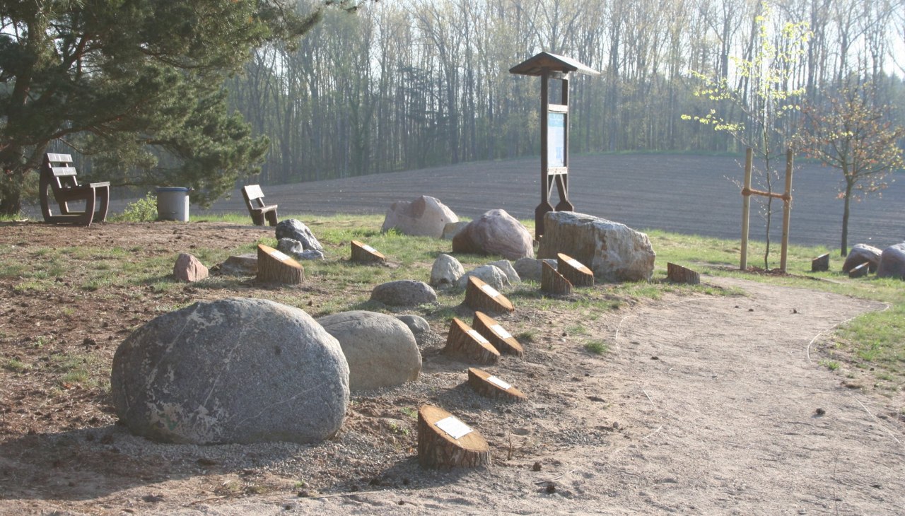 Ogród głazów narzutowych, © TI Krakow am See