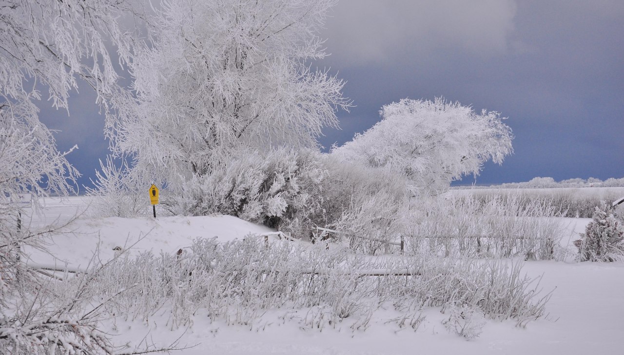 2010Dez16_20__92__I_Stodian, © Nationalparkamt Vorpommern