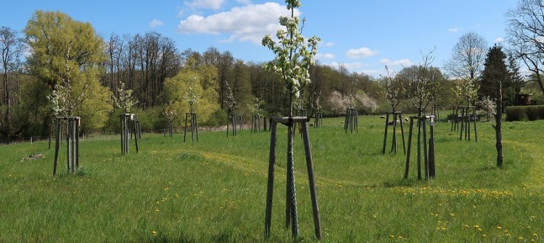 &copy; Streuobstwiesenfest NABU-Stiftung Nationales Naturerbe