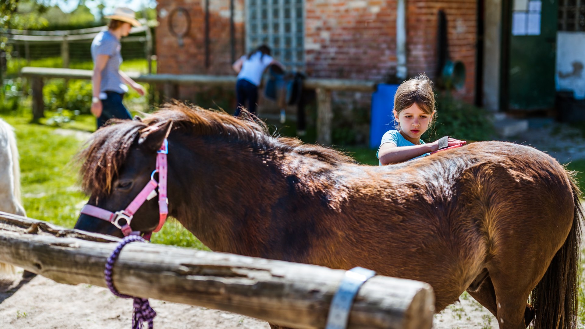 Een gastkind verzorgt een paard bij Waldhof Bruchmühle