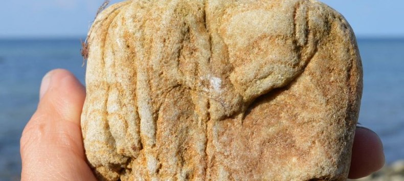 Versteinerte Wurmr&ouml;hren - Skolithos-Sandstein Fossil eines der &auml;ltesten h&ouml;heren Lebewesen // &copy; GeoPark Nordisches Steinreich