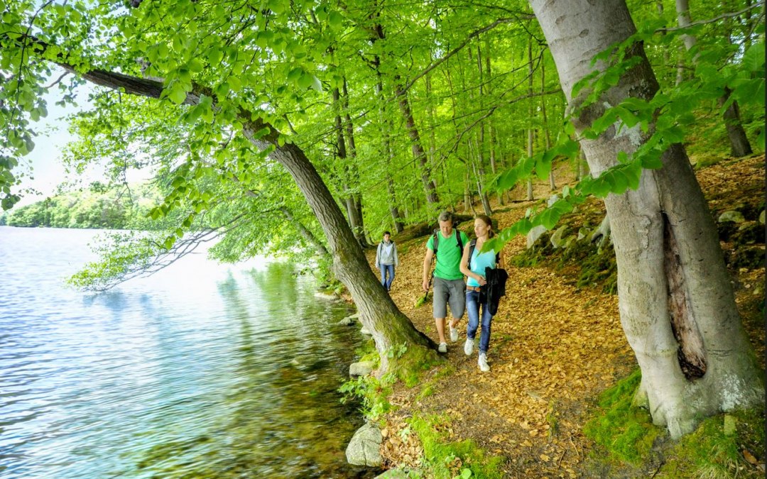 Wąski szlak turystyczny Luzin, &copy; TMV/Foto@Andreas-Duerst.de