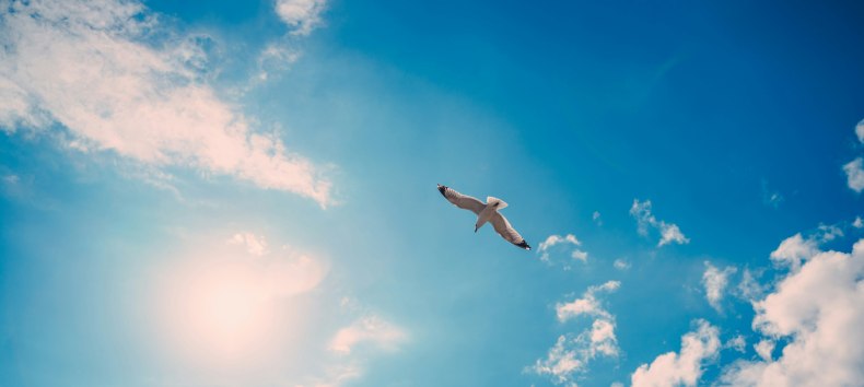 A trip into the blue - surprise guaranteed!, &copy; Foto von Artem Pechenkin auf Unsplash