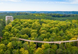 The treetop trail consists of a wooden walkway that winds through the treetops and a 33-meter-high observation tower., © Erlebnis Akademie AG/Baumwipfelpfad Usedom The treetop trail consists of a wooden walkway that winds through the treetops and a 33-meter-high observation tower., © Erlebnis Akademie AG/Baumwipfelpfad Usedom