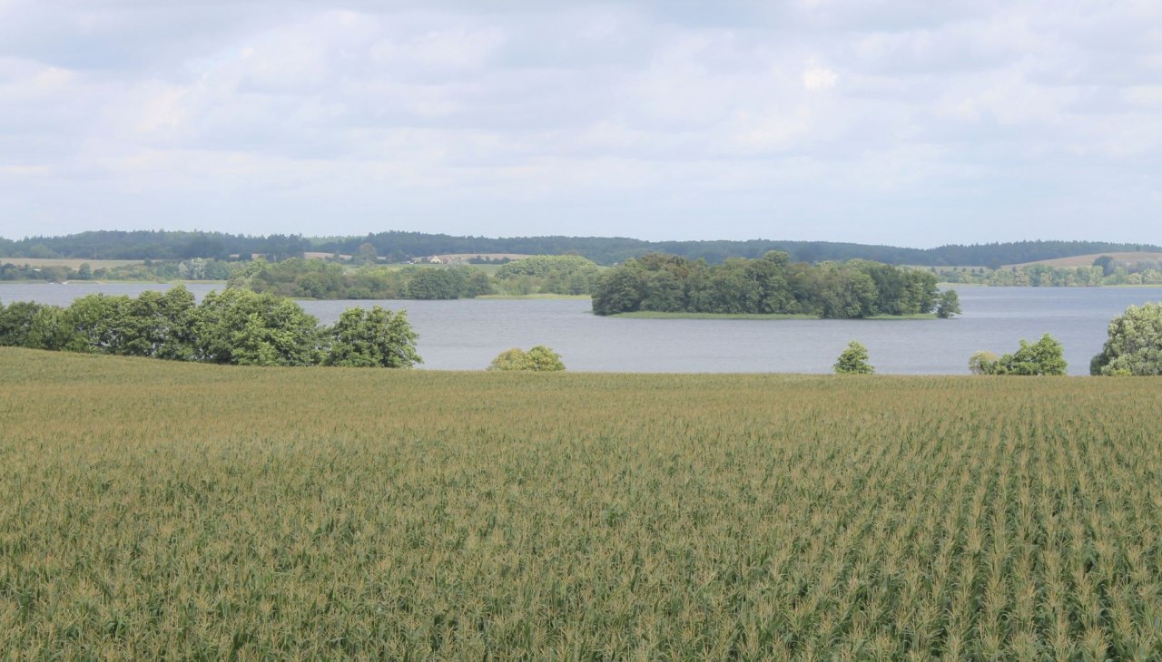 Wspaniałe widoki na wyspy i p&oacute;łwyspy Pojezierza Krakowskiego, &copy; Touristinformation Krakow am See