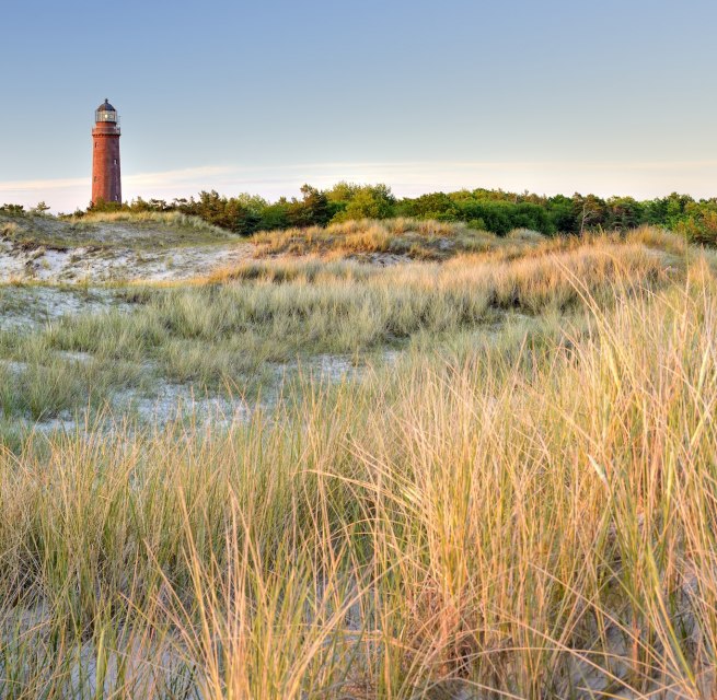 Der markante Dar&szlig;er Leuchtturm ragt aus der D&uuml;nenlandschaft bei Prerow empor. Goldenes D&uuml;nengras wiegt sich im Wind, w&auml;hrend der rote Turm den Blick &uuml;ber die weite K&uuml;stenlandschaft der Ostsee lenkt &ndash; ein Wahrzeichen zum Entdecken auf dem Dar&szlig;. // &copy; Francesco Carovillano