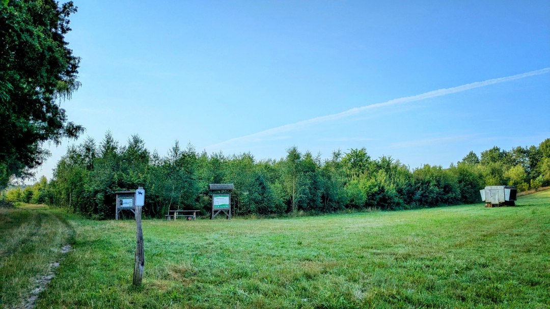 Wejście do klimatycznego lasu Fleesensee, © Landesforst MV