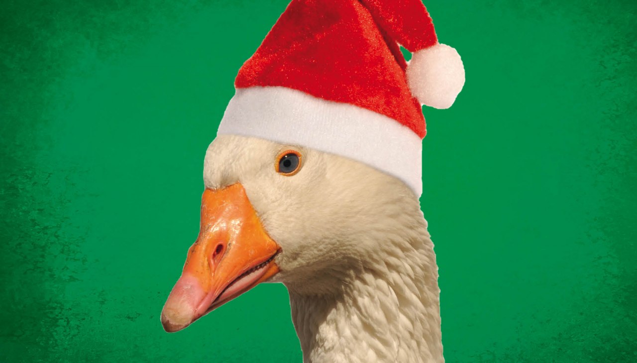 Vorpommersche Landesbühne Anklam, © Vorpommersche Landesbühne Anklam Vorpommersche Landesbühne Anklam, © Vorpommersche Landesbühne Anklam