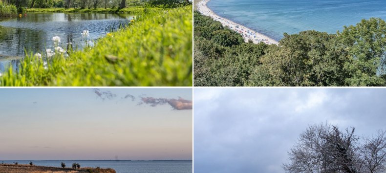 &copy; Lars Wehrmann