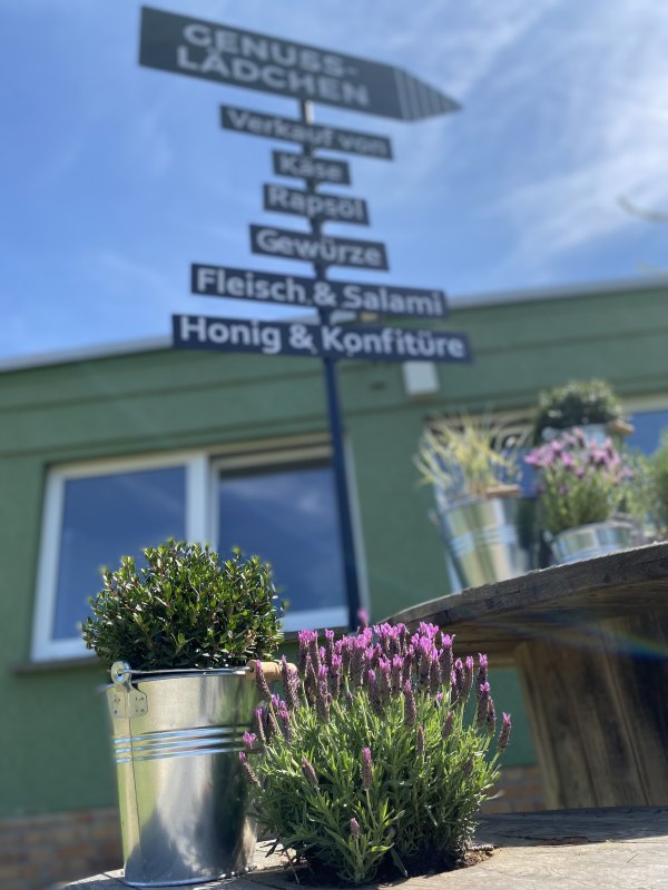 Drogowskaz // &copy; R&uuml;gener Landhandel