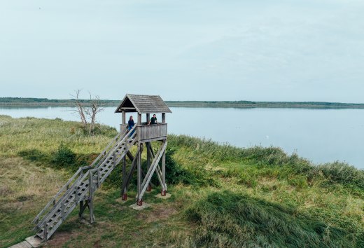 Riether Stiege observatietoren aan de Lagune van Szczecin gemaakt van hout en met een ver uitzicht