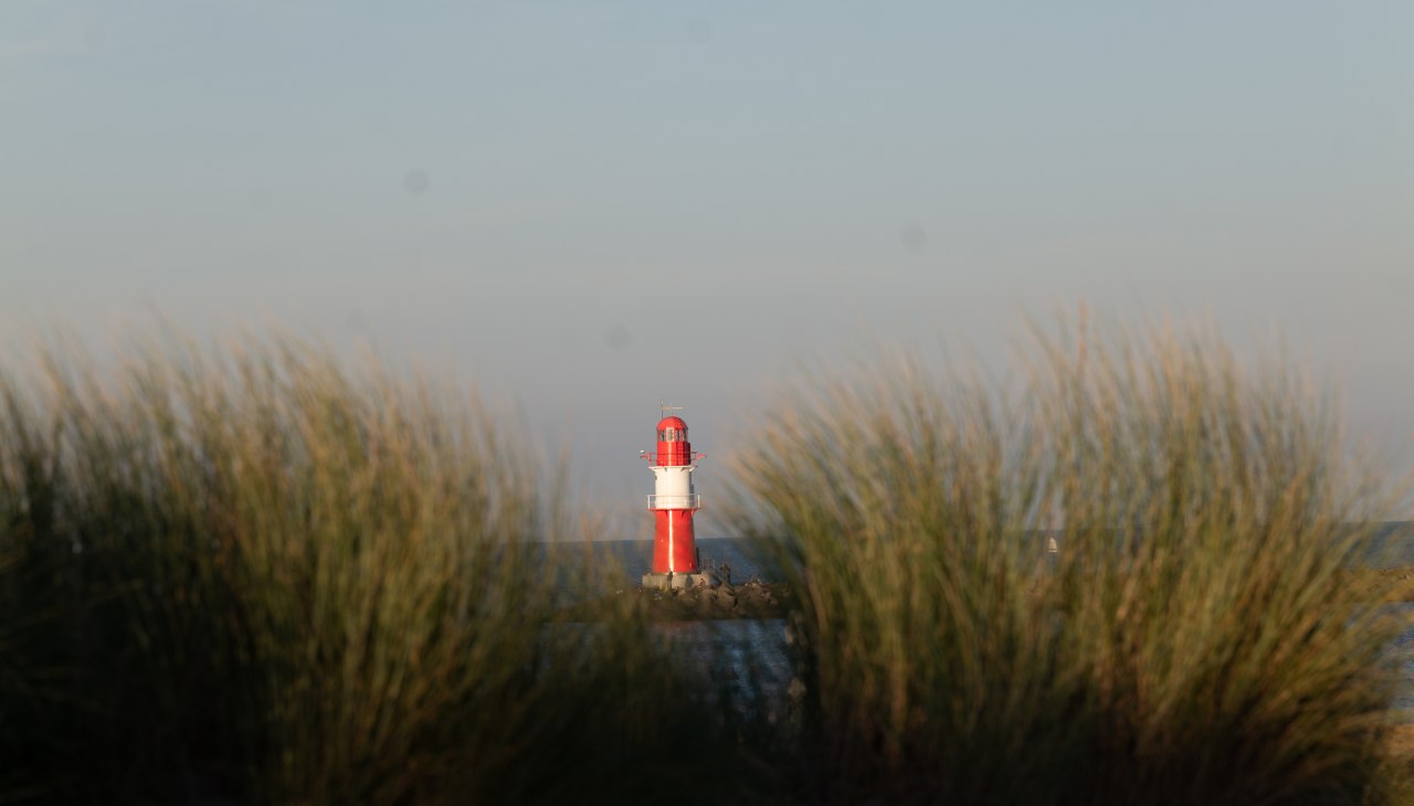 L1010477, © ARS Photo + Consulting GmbH L1010477, © ARS Photo + Consulting GmbH