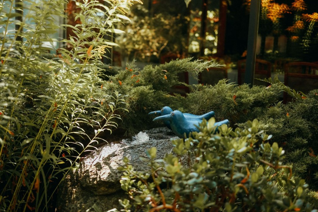 aussen_5-414927cf, © Hotel & Restaurant Paulshöhe