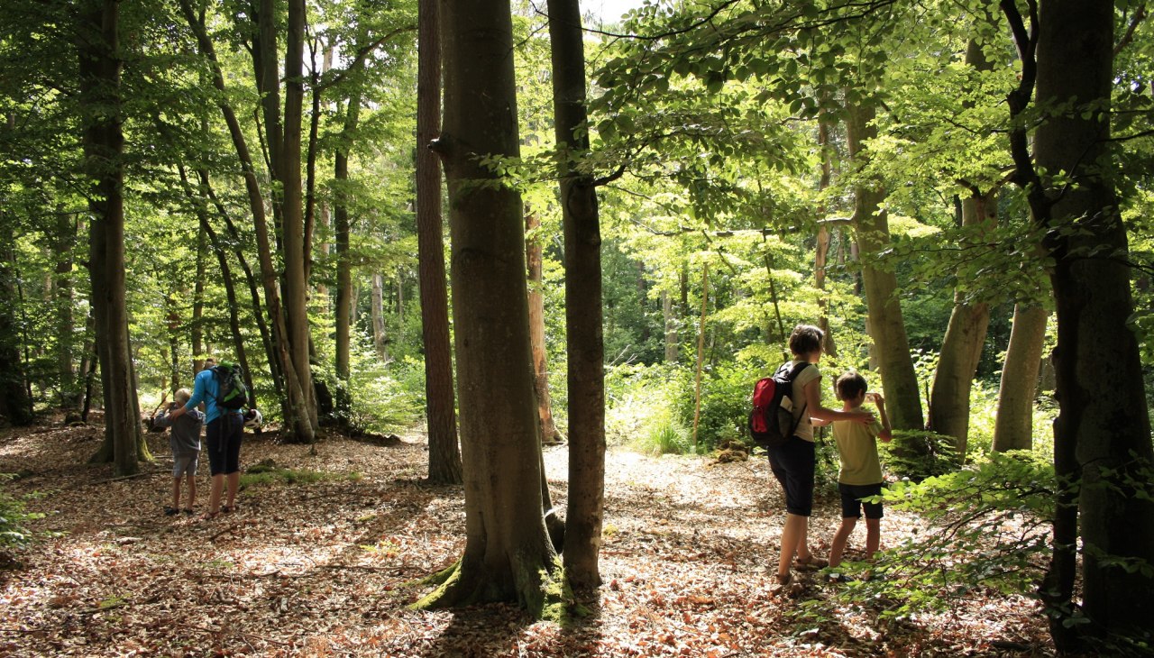 Natur_auf_der_Spur_2, © NPA Vorpommern