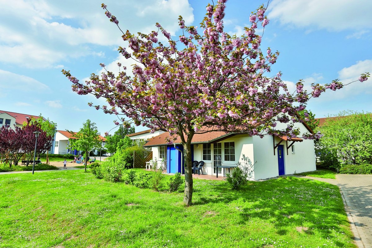 Vacation home in the family vacation village of Rerik in the spring // © AWO SANO gGmbH Vacation home in the family vacation village of Rerik in the spring // © AWO SANO gGmbH