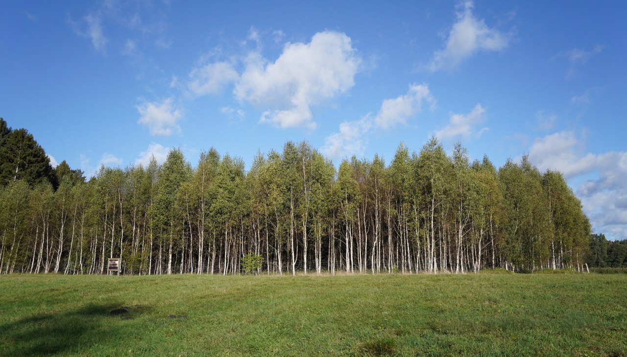 Klimatyczny las Mirow, &copy; Landesforst MV