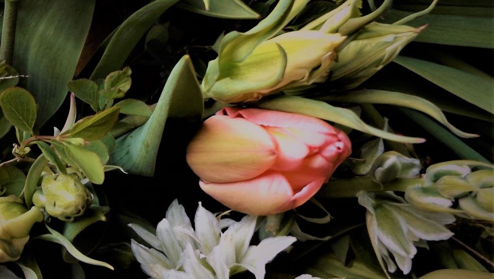 sustainable and regional cut flowers, © Hanna Dittrich