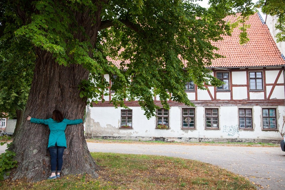 Monastery building with lime tree, © Frank Burger Monastery building with lime tree, © Frank Burger