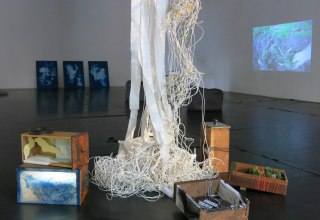 Installationsansicht Wachsen , Wuchern, Wühlen, Wundern 2025 Mixed Media // © Friederike Preuschen Installationsansicht Wachsen , Wuchern, Wühlen, Wundern 2025 Mixed Media // © Friederike Preuschen